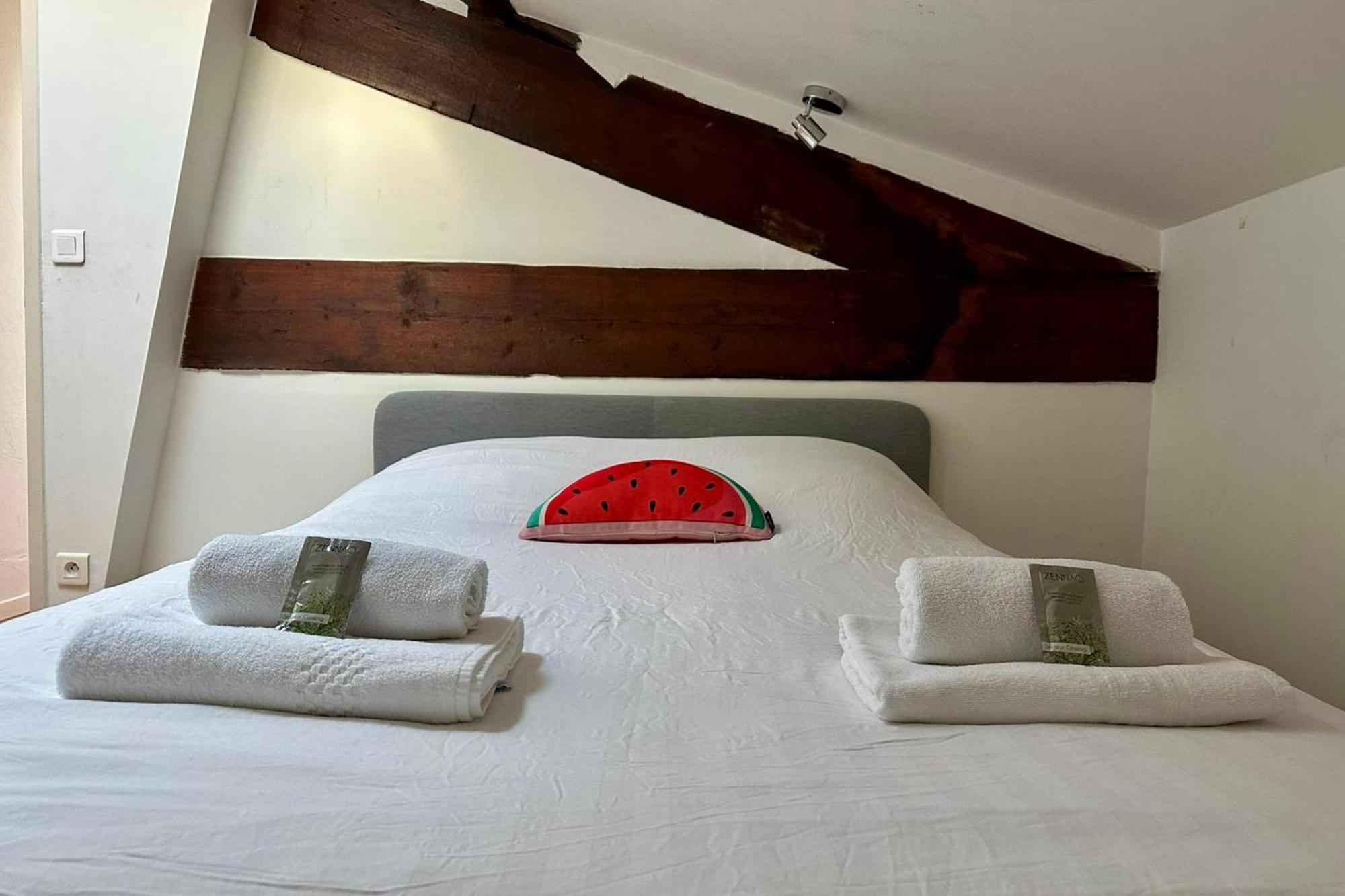 The Duplex- Air-Conditioned 3 Bedrooms In The Center Of Montpellier! Zewnętrze zdjęcie